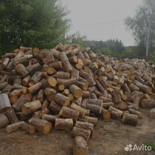 Дрова сухие в чюрках + доставка