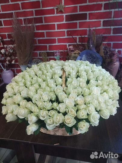 Розы, 301 роза с бесплатной доставкой