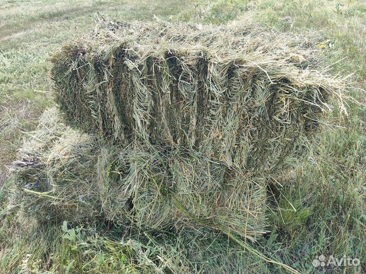 Сено в тюках