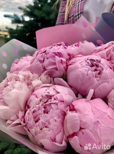 Пионы Розы Доставка