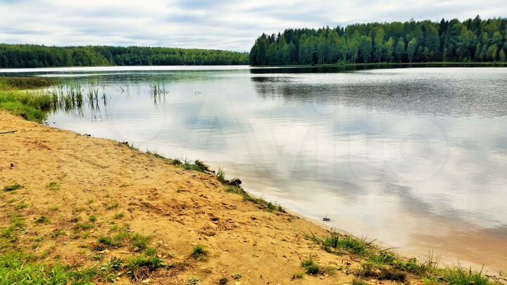 Участок 21 сот. (СНТ, ДНП)