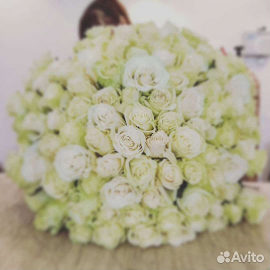 Белые розы Эквадорские высокие 60 см