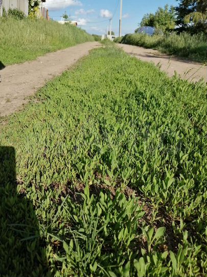 Участок 3,3 сот. (ИЖС)