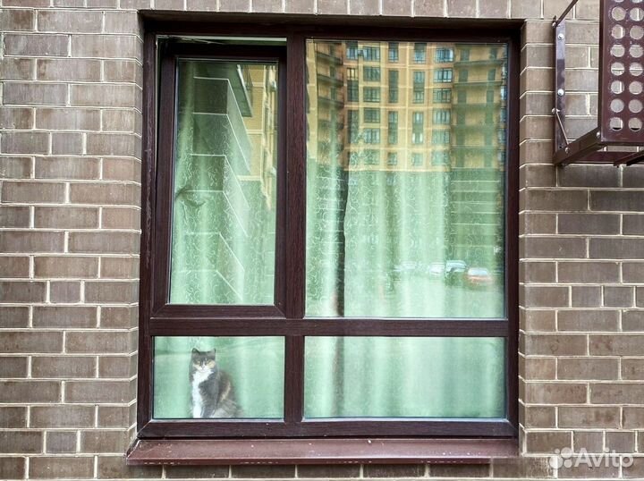 Пластиковые окна