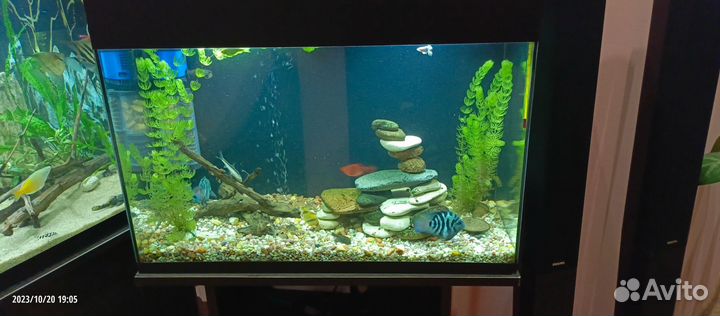 Аквариум
