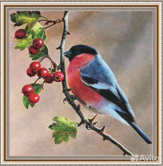 Алмазная мозаика 30x30 Снегирь