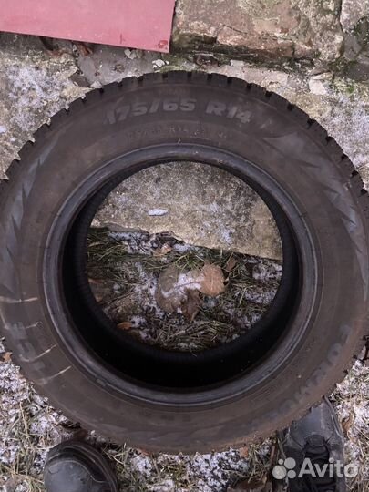 Formula Ice FR 175/65 R14