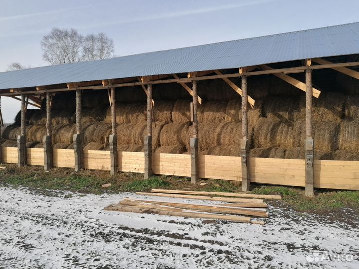 Продаю сено в рулонах 2024 год. Доставка. Обмен