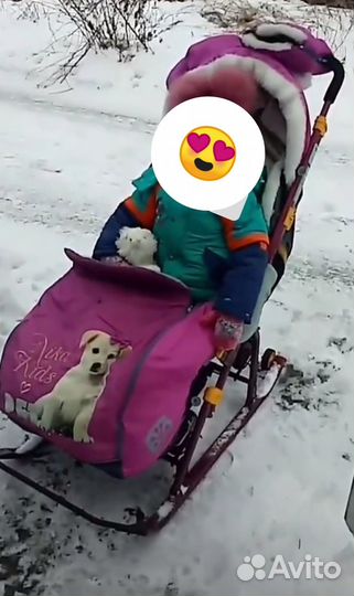 Сани ника 7-2