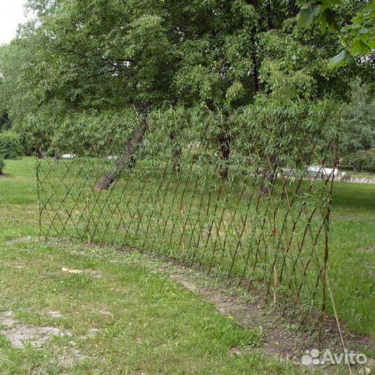 Зонирование участка изгородью из ивы