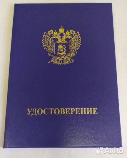 Обучение archicad 3Ds Max Индивидуально