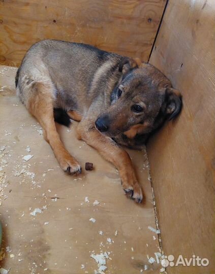 Старость в одиночестве