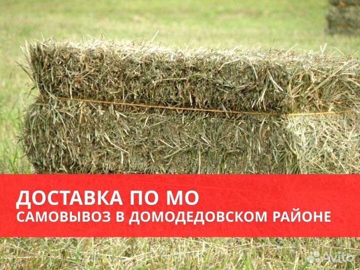 Сено и солома в тюках и мешках