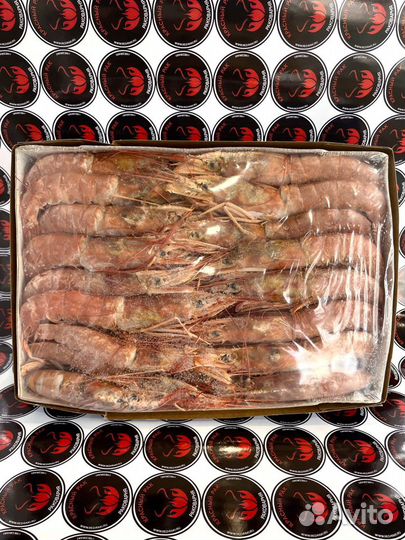 Аргентинская креветка (Лангустины)