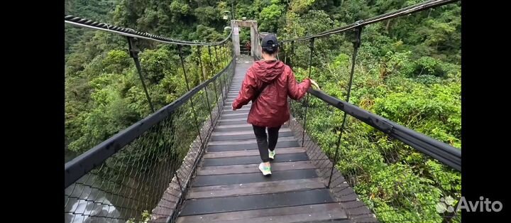 Бухгалтер / Помощник Главного бухгалтера