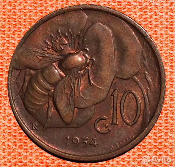 Фауна мира на монетах