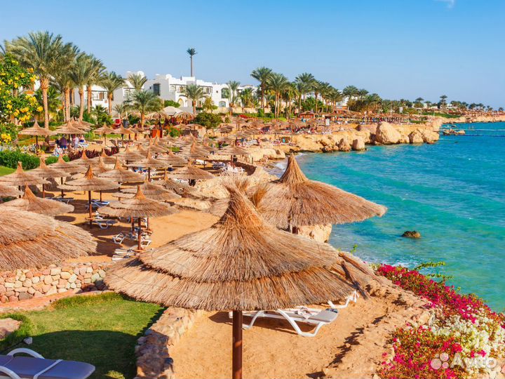 Турпутевка в Sharm El-Sheikh 6 ночей
