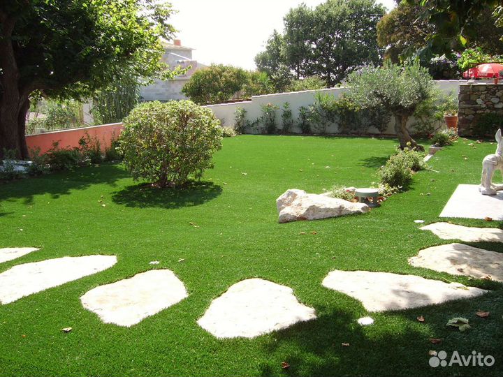 Ирландский мох почвопокровник