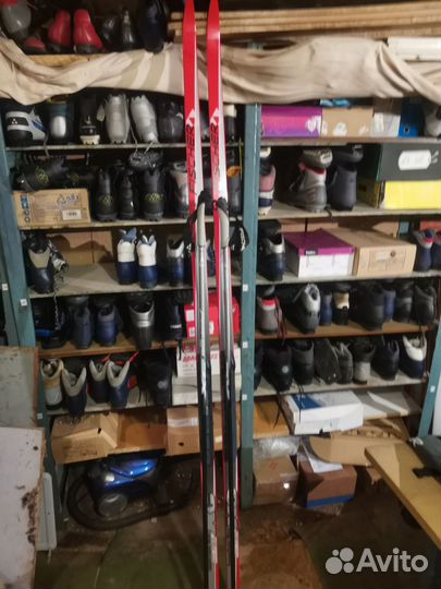 Беговые лыжи fisher XC