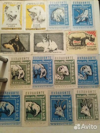 Этикетки порода собак и охраняйте зверей