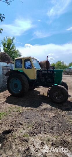 Трактор ЮМЗ 6АЛ, 1981