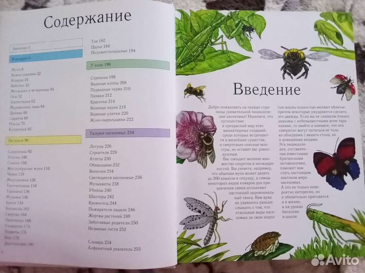 Энциклопедия Насекомых