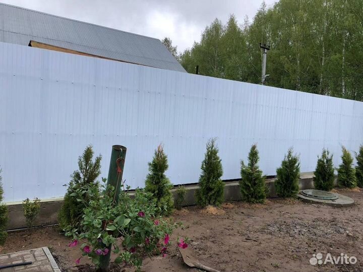 Пэт листы, профлист