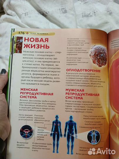 Детская энциклопедия