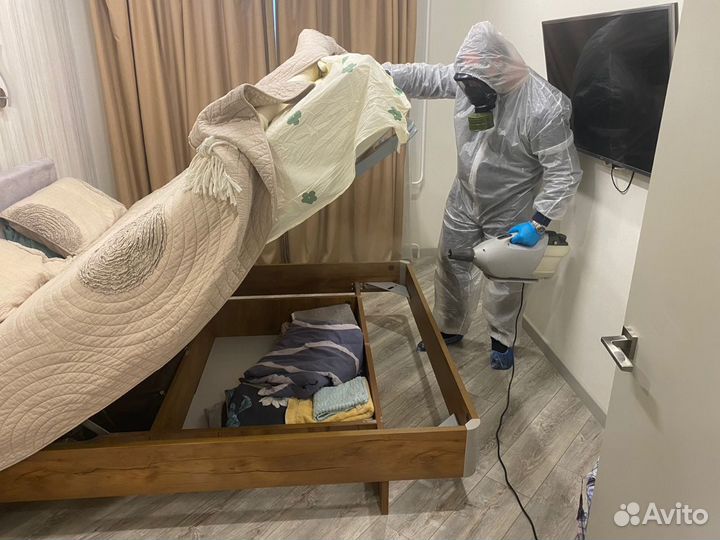 Дезинфекция клопов и тараканов и всех насекомых