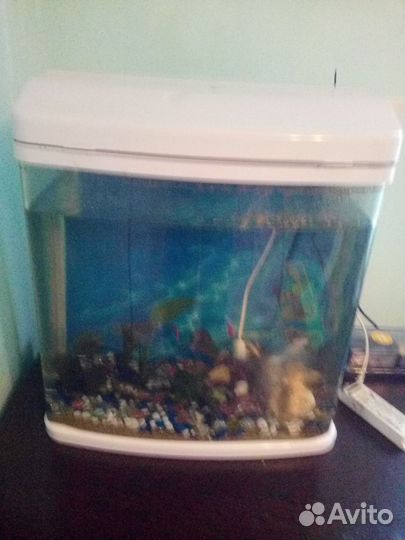 Девайсы для аквариума