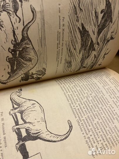 Общая Биология 9 класс Веселов СССР