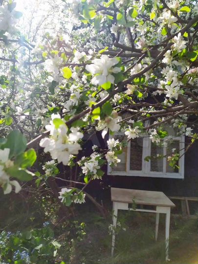 Дача 40 м² на участке 3 сот.