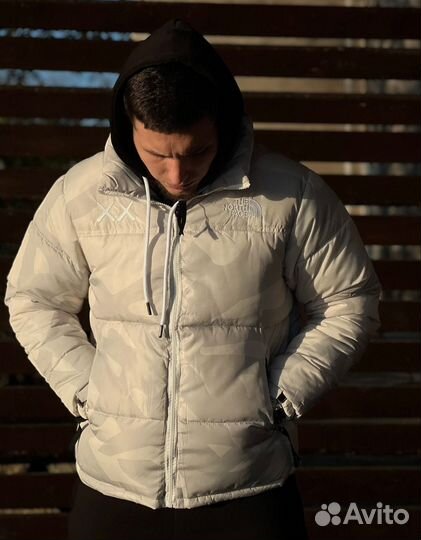 Куртка the north face 700 kaws