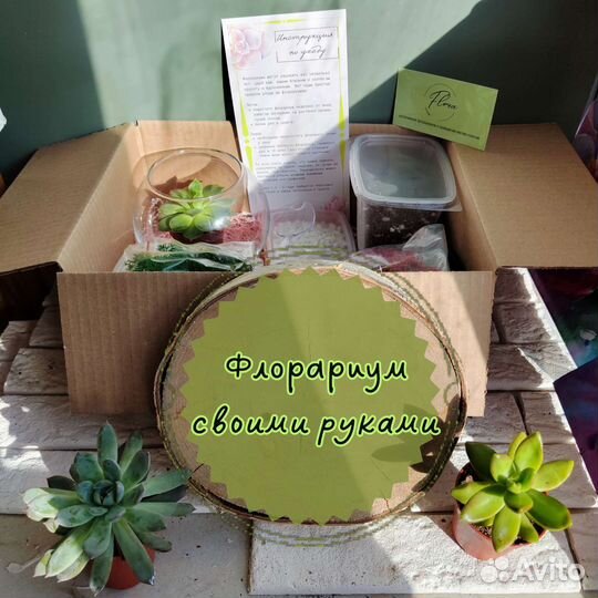 Набор для создания флорариума