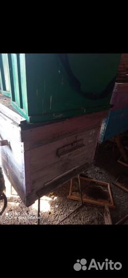 Улей для пчел бу