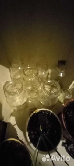 Банки стеклянные 3 литра