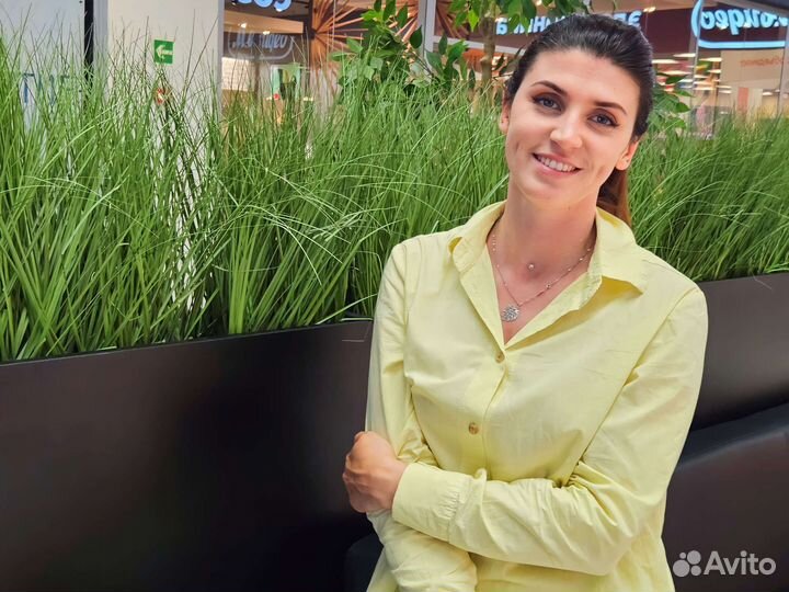 Пальма для офиса/ озеленение офиса