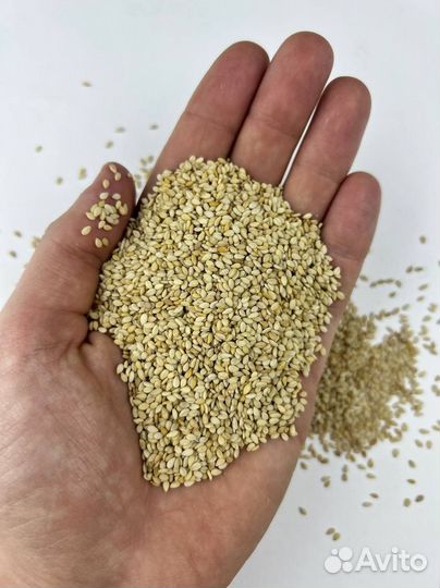 Семена кунжута