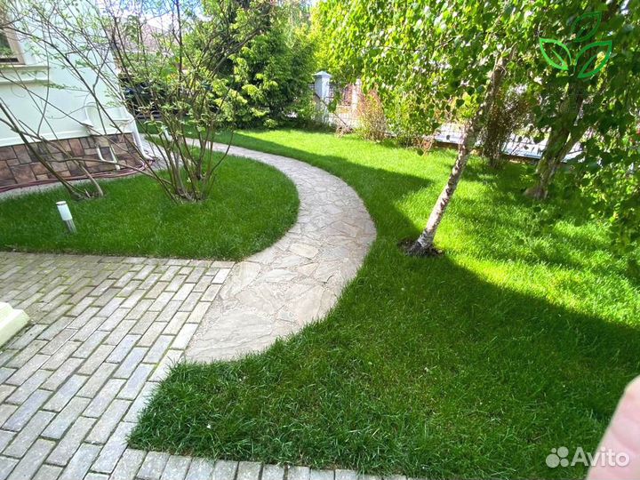 Рулонный газон