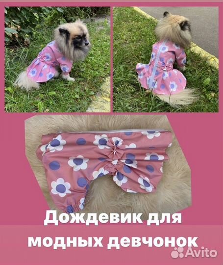 Пошив одежды для собак. Одежда для собак