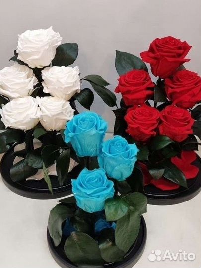 Подарок / Роза в колбе оптом