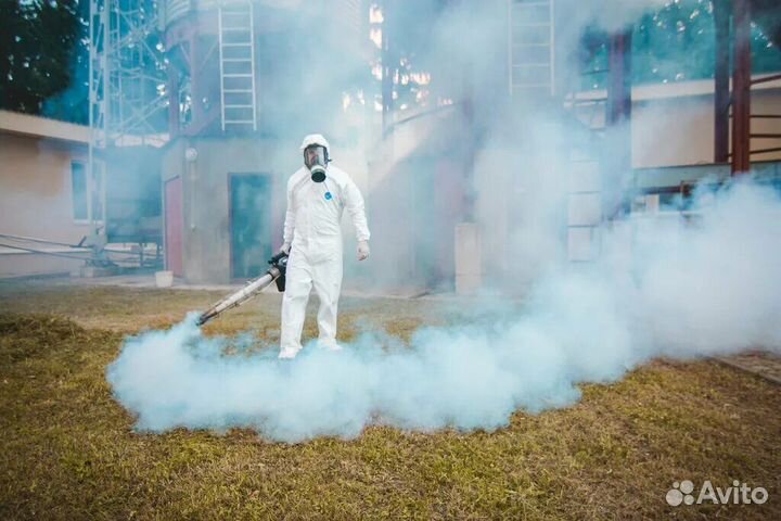 Дезинсекция, дератизации, дезинфекция помещений
