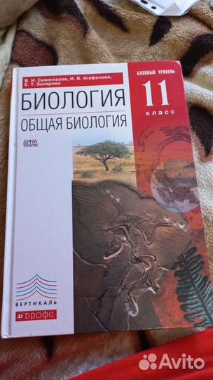 Учебники старшей школы