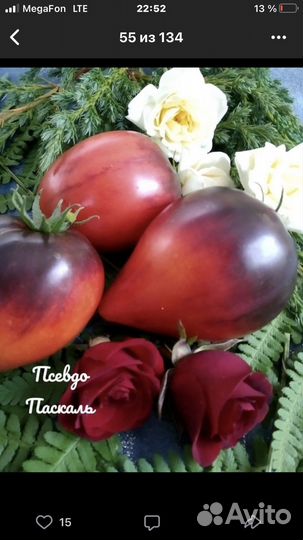 Рассада томатов коллекционных сортов