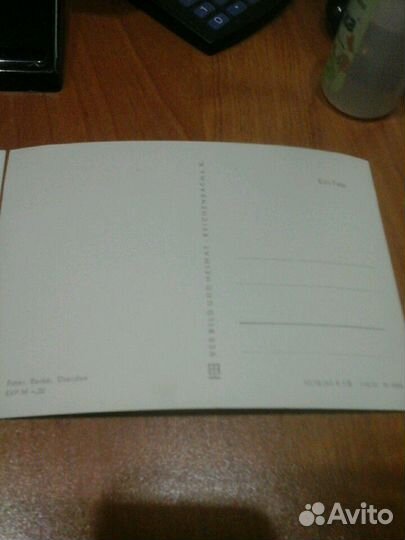 Открытки кошки