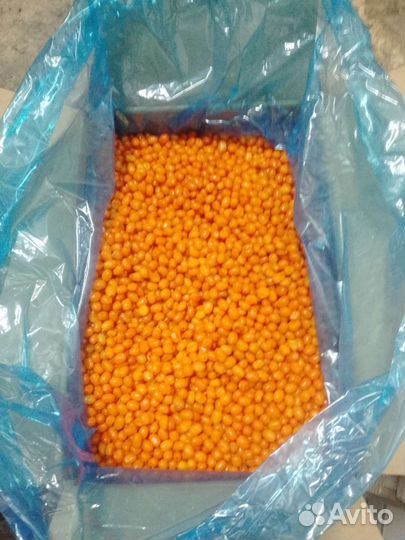 Замороженные ягоды