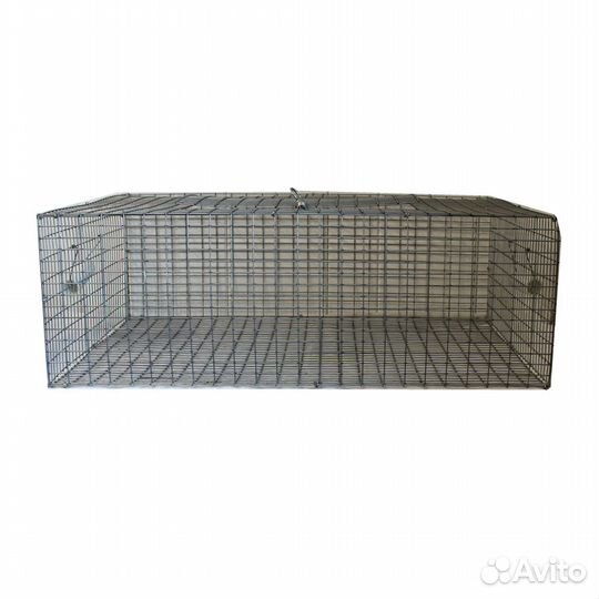 Перевозка перепелов на 20-25 голов