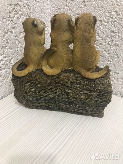 Сурикаты welcome