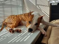 подработка до 18 юз. работа новомосковск вакансии без опыта. Manpower новомосковск работа. работа в новомосковске тульской области свежие вакансии. работа в новомосковске.