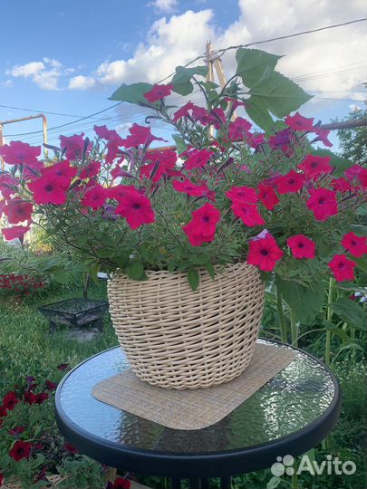 Кашпо из искусственного ротанга